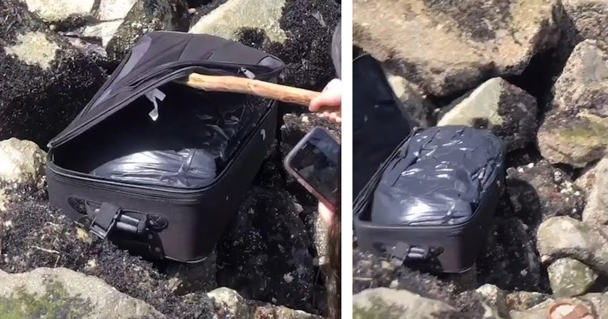 Suitcase Leaves A Suspicious Trail Of Evidence, You Won't Believe What