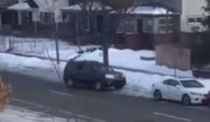 ICE Agent Fatally Shoots Woman After Alleged Attempt to Run Over Agent Identified as Renee Nicole Good