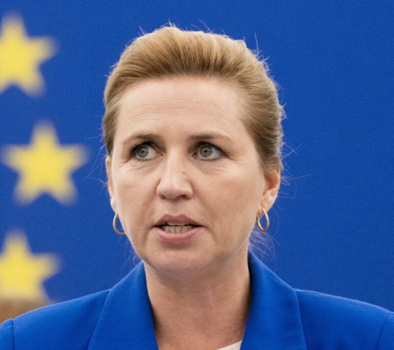 A view of Greenlandic coastline with ice and settlements under overcast sky