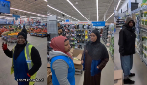 Walmart Video: Chaos or Corporate Training Failure?