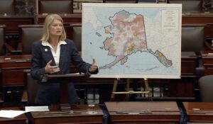 Murkowski Floats Citizenship Exemption