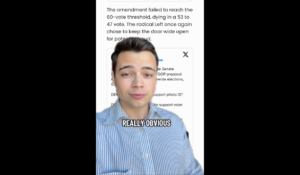 Democrats Block Simple Voter ID