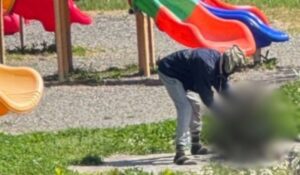 Italy’s Playground Cat Story Turns Political