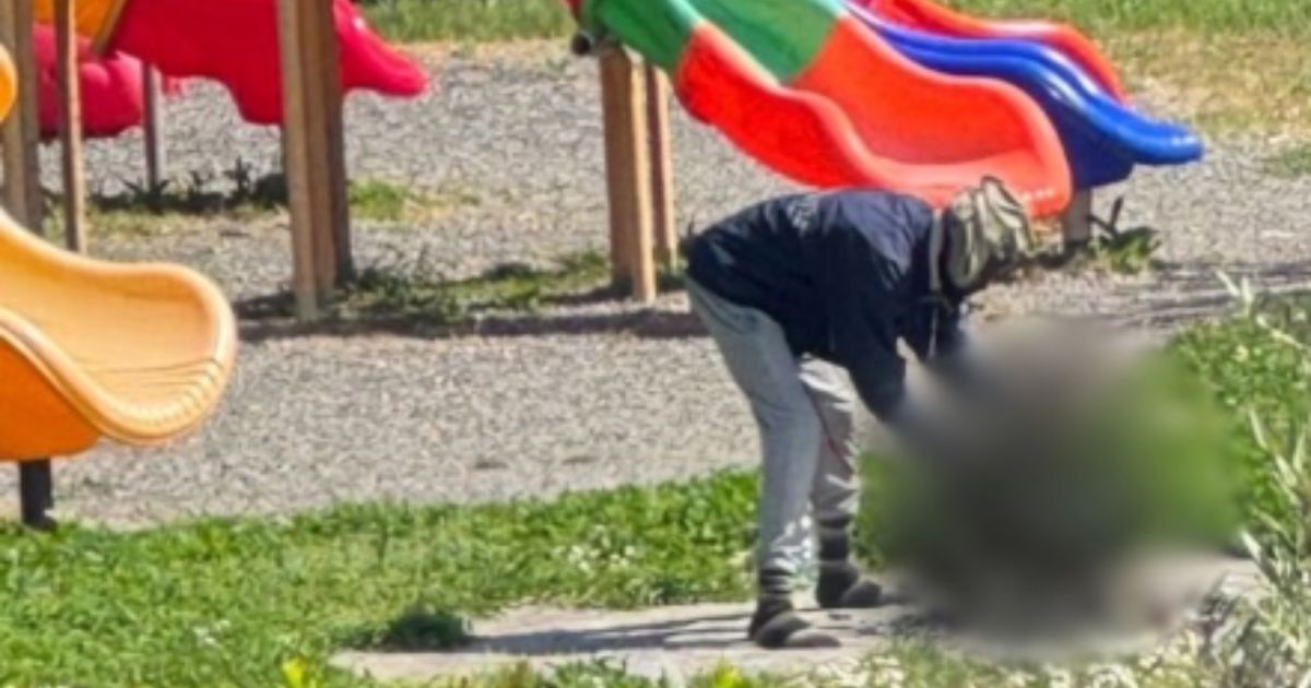 Police response in Sarzana, Italy, after reports of a cat being killed near a playground