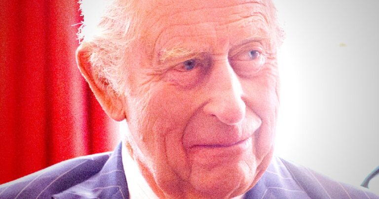 King Charles and Queen Camilla during a state visit announcement