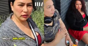 California Shelter Surgery Bill Hits Taxpayers