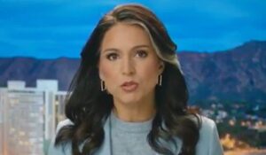 Gabbard Targets Trump Impeachment Players