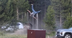 WATCH: Yellowstone Bison Sends Man Flying Eight Feet Through the Air [VIDEO]
