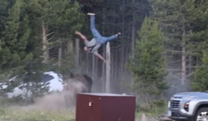 WATCH: Yellowstone Bison Sends Man Flying Eight Feet Through the Air [VIDEO]