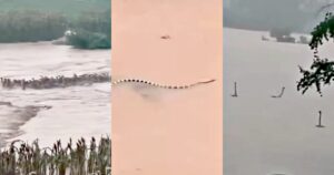 Reservoir Collapse Floods Chinese Village — Then Hundreds of Venomous Snakes Escape (VIDEOS)
