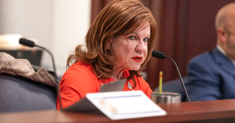 Florida election paperwork and ballot access documents representing House District 47 race