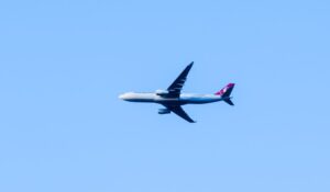 Turkish Migrant Cites Sharia to Refuse Seat Beside Woman, Then Allegedly Hits Flight Attendant