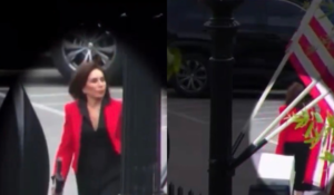 Pirro Carries White Box to West Wing After Trump Rips Dropped Pool Case