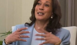 WATCH: Kamala Harris Uses a Yellow Flower to Explain AI Algorithms