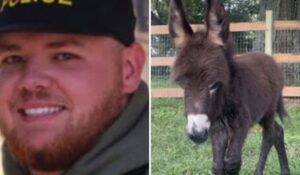 Georgia Officer Identified in Baby Donkey Shooting, Report Gives His Reason